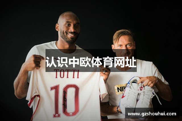 认识中欧体育网址